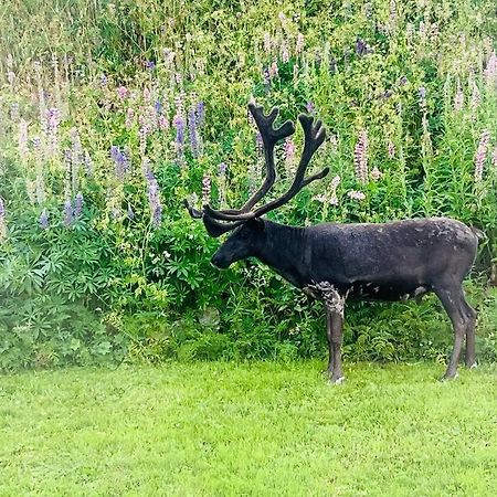 Leilighet I Nord Тромсе Екстер'єр фото